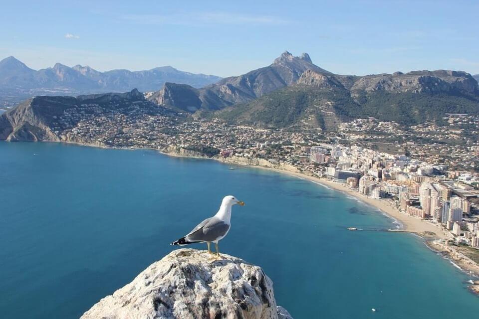Apartamento Arenal 5 - Plusholidays Calpe Exterior photo